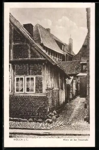 AK Mölln i. L., Motiv an der Seestrasse