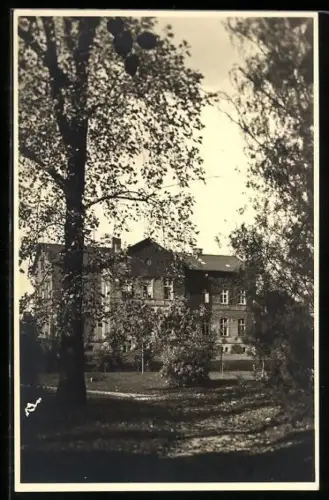 Foto-AK Geisenheim, Partie der Lehr- und Forschungsanstalt für Wein-, Obst- und Gartenbau
