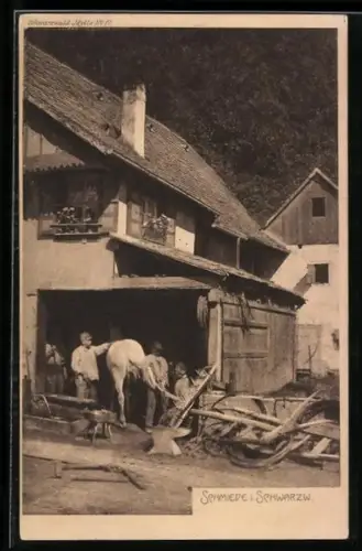 AK Schmied beschlägt ein Pferd mit einem neuen Hufeisen