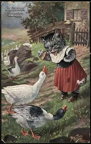 Künstler-AK A. Thiele: Katze neckt Gänse mit Brot