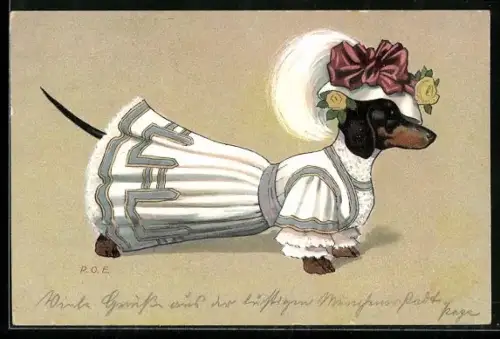 Künstler-AK P. O. Engelhard (P.O.E.): Dackeldame in feiner Ausgehkleidung mit Hut