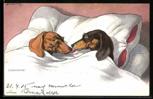 Künstler-AK Fritz Quidenus: zwei Dackel im Bett, Liebesheirat
