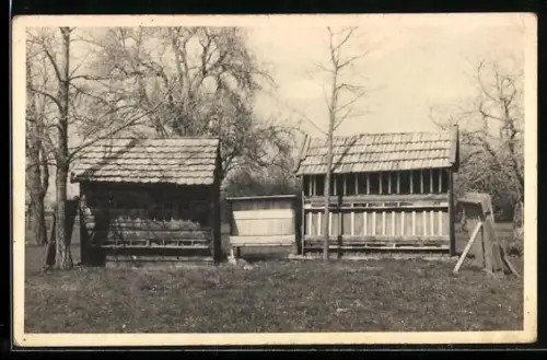 Foto-AK Imkerei bei Tageslicht