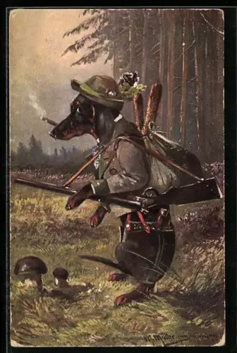 Künstler-AK M. Müller jun.: vermenschlichter Dackel als Jäger