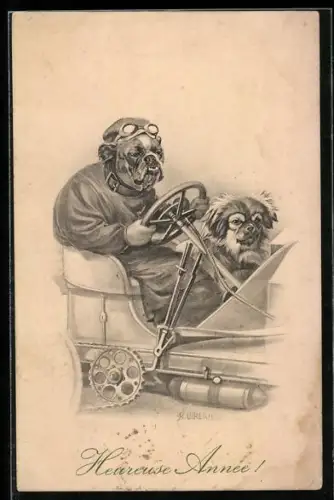 Künstler-AK R. Ulreich: Bulldogge steuert ein Automobil