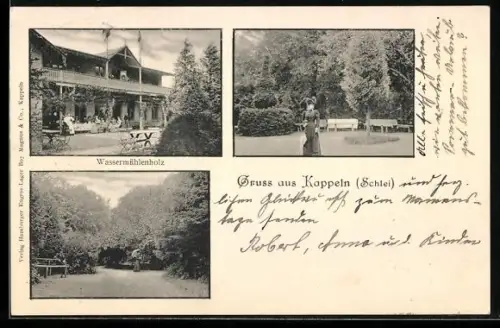 AK Kappeln /Schlei, Gasthof Wassermühlenholz und verschiedene Partien im Park