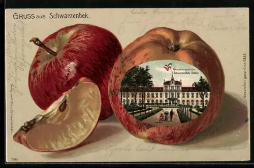 Passepartout-Lithographie Schwarzenbek, Genesungsheim mit Äpfeln