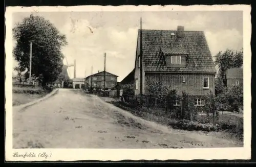 AK Hamfelde /Lbg., Strassenpartie mit Wohnhäusern