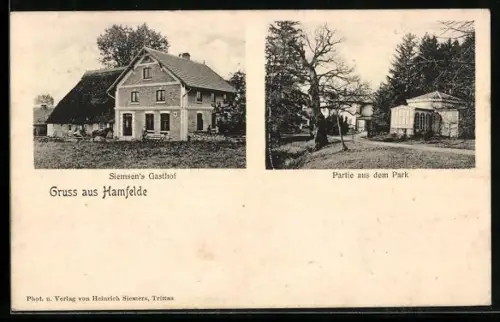 AK Hamfelde, Siemsen`s Gasthof, Partie aus dem Park