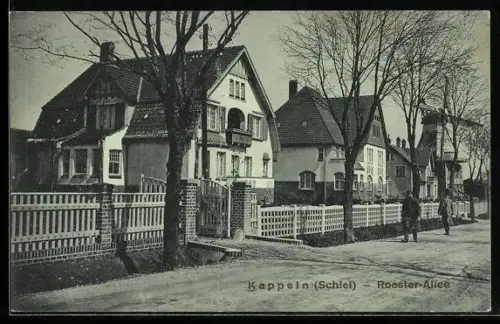 AK Kappeln /Schlei, Roester-Allee mit Wohngebäuden