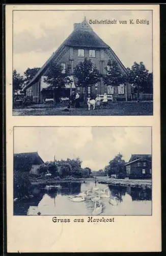 AK Havekost, Gastwirtschaft von K. Höltig, Blick übers Wasser mit Schwänen