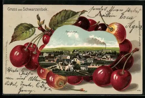 Passepartout-Lithographie Schwarzenbek, Panorama des Ortes mit Kirschen im Passepartout
