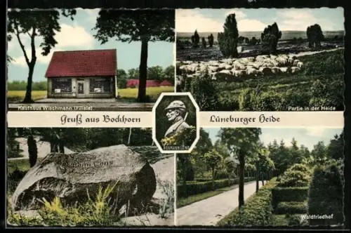 AK Bockhorn /Lüneburger Heide, Kaufhaus Wischmann Filiale, Partie in der Heide, Lönsgrab