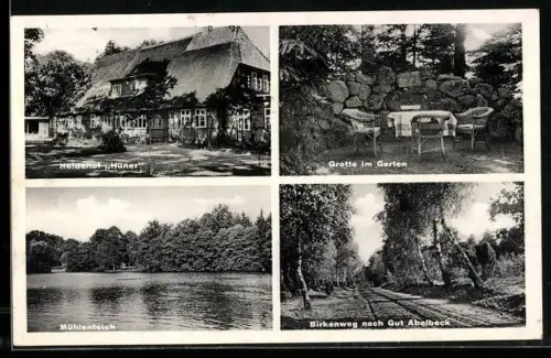AK Harber bei Soltau, Heidehof Hüner, Grotte im Garten, Mühlenteich