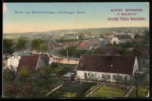 AK Schneverdingen /Lüneburger Heide, Teilansicht mit Strassenpartie