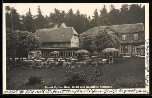AK Oybin-Hain, Hotel und Gaststätte Forsthaus