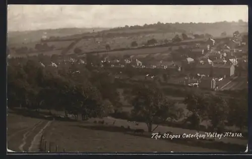 AK Caterham Valley, The Slopes