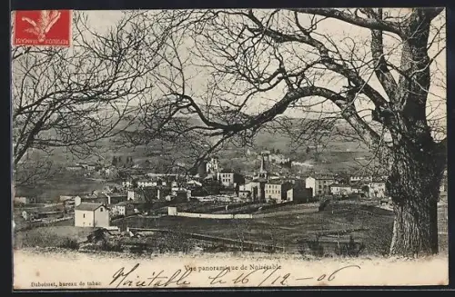 AK Noirétable, Vue panoramique