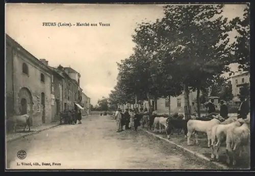 AK Feurs /Loire, Marché aux Veaux