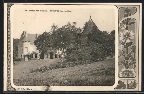 AK Busloup /Loir-et-Cher, Le Château