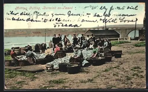 AK Berwick-on-Tweed, Herring Cutting