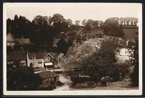 AK Peaslake, Partial view