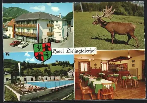 AK Mautern /Steiermark, Hotel Liesingtalerhof S. Thewanger, Freibad, Hirsch