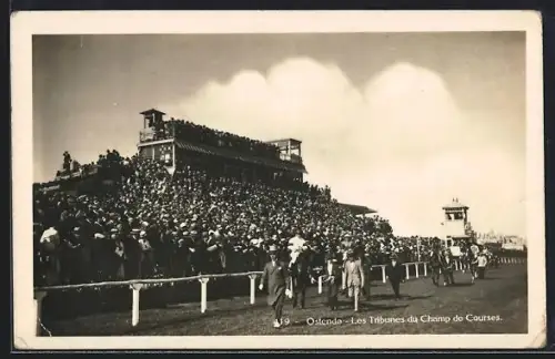 AK Ostende, Les Tribunes du Champ de Courses