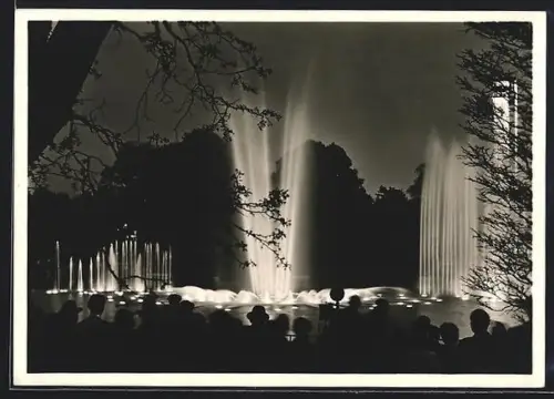 AK Hamburg, Internationale Gartenbau-Ausstellung 1953, Wasserlichtkonzert mit tanzendem Wasser