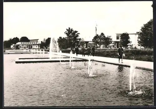 AK Erfurt, 1. Internationale Gartenbauaustellung der sozialistischen Staaten 1961, Springbrunnen