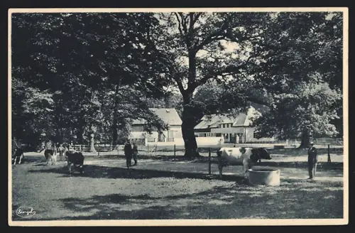 AK Dresden, Internationale Hygiene-Ausstellung 1930, Landwirtschaftliches Muster-Gehöft
