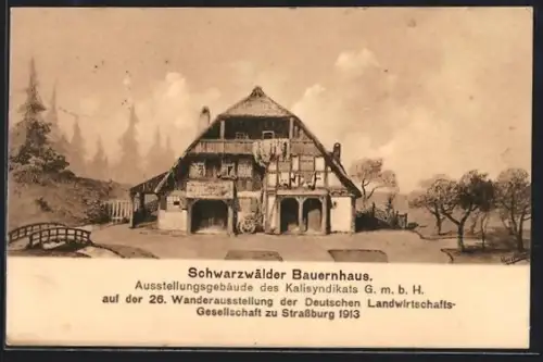 AK Strassburg, 26. Wanderausstellung der Deutschen Landwirtschaftsgesellschaft 1913, Schwarzwälder Bauernhaus