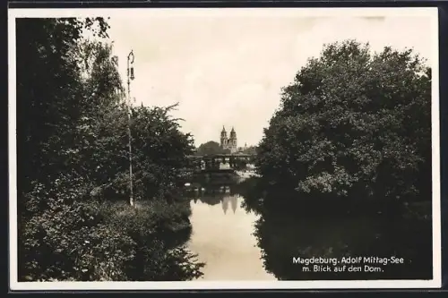 AK Magdeburg, Adolf Mittag-See mit Blick auf den Dom