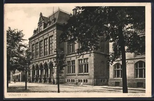 AK Münster i. W., Universität mit Strassenpartie
