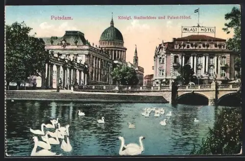 AK Potsdam, Königliches Stadtschloss und Palast-Hotel, Schwäne