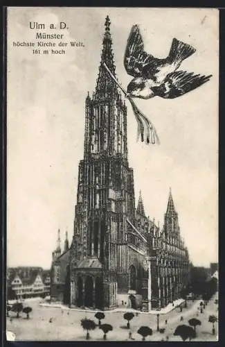 AK Ulm a. D., Münster, höchste Kirche der Welt, Schwalbe mit Band