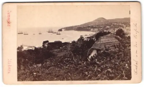 Fotografie Camacho, Funchal, Rua de S. Francisco 21-22, Ansicht Funchal, Schiffe in einer Bucht