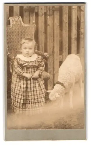 Fotografie unbekannter Fotograf und Ort, Kleinkind in kariertem Kleid mit Lamm vor einem Zaun