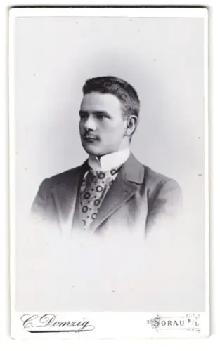 Fotografie C. Domzig, Sorau, Bahnhofstrasse 25, Porträt eines jungen Mannes