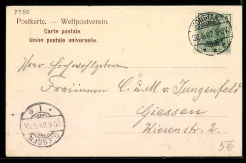 AK Konstanz, Inselhotel