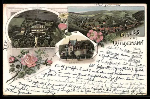 Lithographie Wildemann / Harz, Blick auf das Kurhaus, Am Bahnhof, Ortsansicht