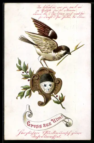 AK Ulm, Vogel mit Zweig im Schnabel steht auf dem Stadtwappen