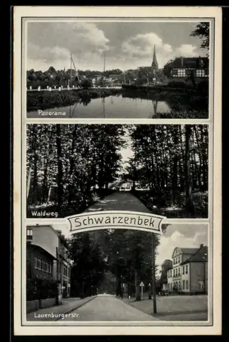 AK Schwarzenbek, Panorama, Waldweg, Lauenburgerstrasse