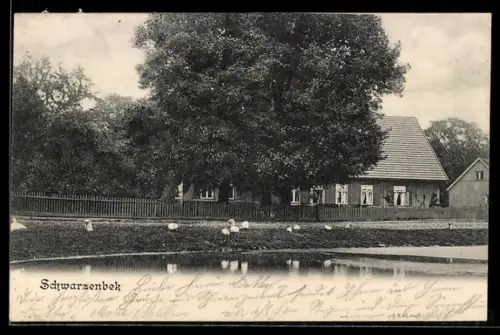AK Schwarzenbek, Ortspartie am See