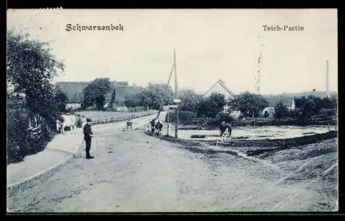 AK Schwarzenbek, Teich-Partie mit Kühen
