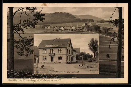 AK Zollhaus Blumberg /Bad. Schwarzwald, Gasthof und Pension zur Post, Panorama