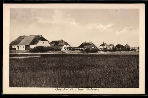 AK Vitte /Hiddensee, Ortsansicht mit reetgedeckten Häusern, Panorama