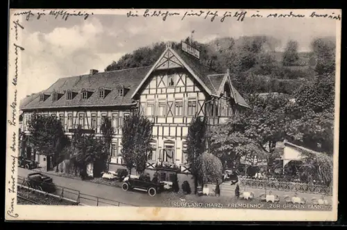 AK Rübeland /Harz, Fremdenhof Zur Grünen Tanne aus der Vogelschau