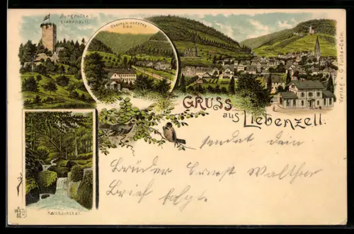 Lithographie Liebenzell, Burgruine, Oberes u. unteres Bad, Kollbachtal