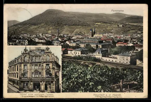 AK Neustadt a. d. Haardt, Hotel zum weissen Lamm, Ortspanorama